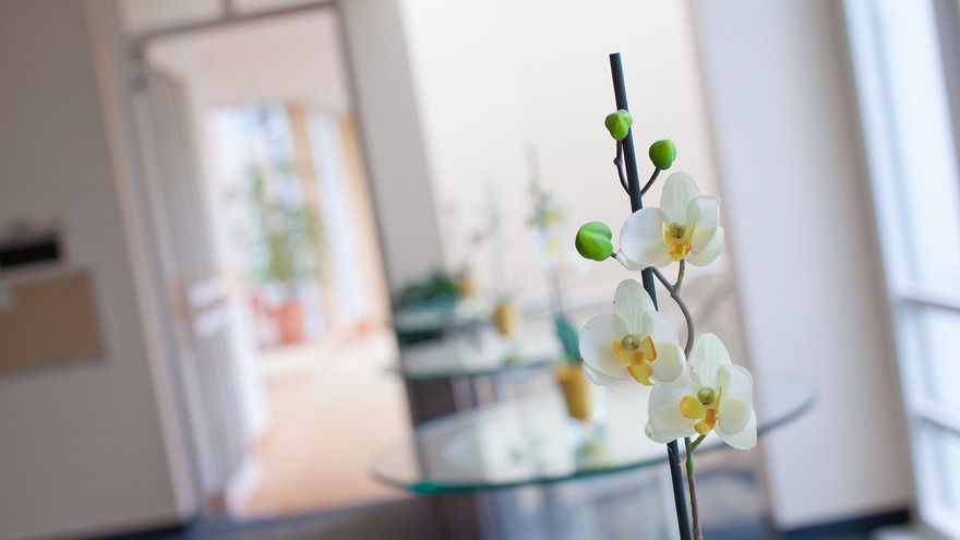 Seminarhotel relexa hotel Bad Steben